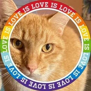 Meet your Posher, Loretta